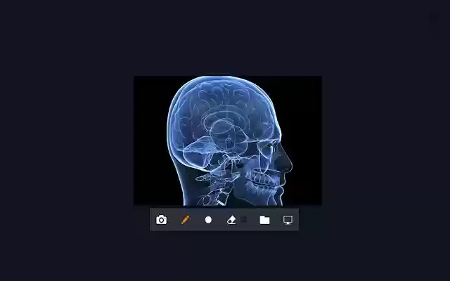 Ciketi Screen Sharing Chrome Extension  from Chrome web store to be run with OffiDocs Chromium online