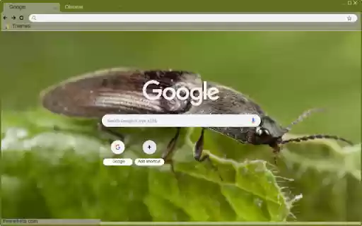 Click Beetle from Chrome web store to be run with OffiDocs Chromium online Click Beetle from Chrome web store to be run with OffiDocs Chromium online
