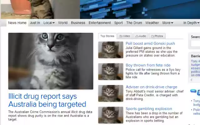 Click for Kittens from Chrome web store to be run with OffiDocs Chromium online Click for Kittens from Chrome web store to be run with OffiDocs Chromium online