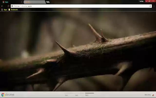 Close up  from Chrome web store to be run with OffiDocs Chromium online