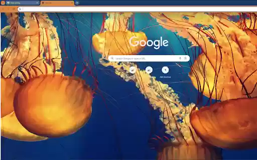 close up of a beautiful group of jellyfish  from Chrome web store to be run with OffiDocs Chromium online