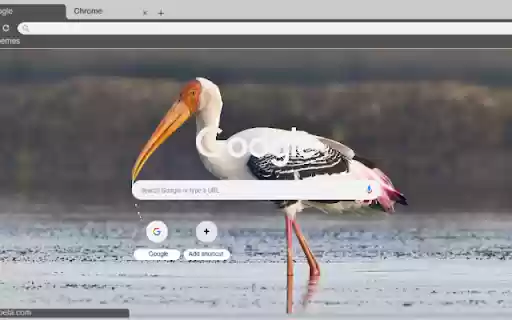 Co  from Chrome web store to be run with OffiDocs Chromium online