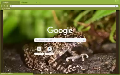 Coc nui  from Chrome web store to be run with OffiDocs Chromium online