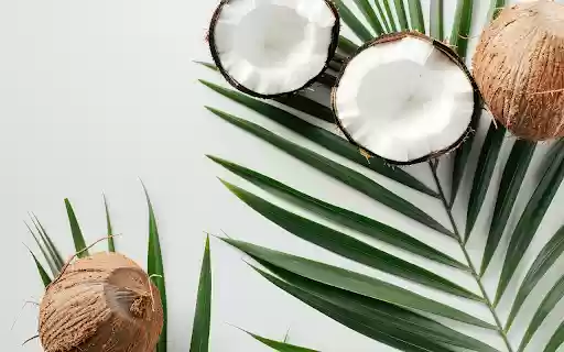 coconut skull and coconut leaves  from Chrome web store to be run with OffiDocs Chromium online