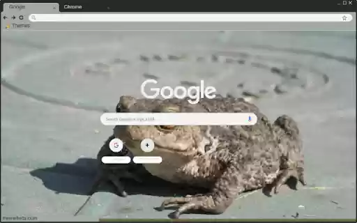 Coc xam  from Chrome web store to be run with OffiDocs Chromium online