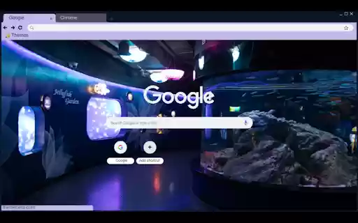 Coex Aquarium  from Chrome web store to be run with OffiDocs Chromium online