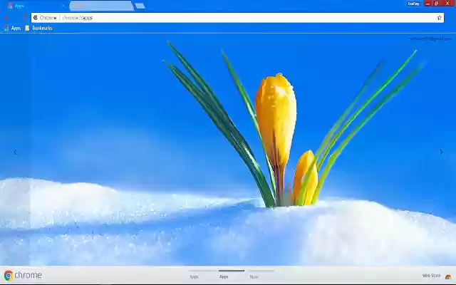 Colorful Crocus Nature Snow from Chrome web store to be run with OffiDocs Chromium online Colorful Crocus Nature Snow from Chrome web store to be run with OffiDocs Chromium online