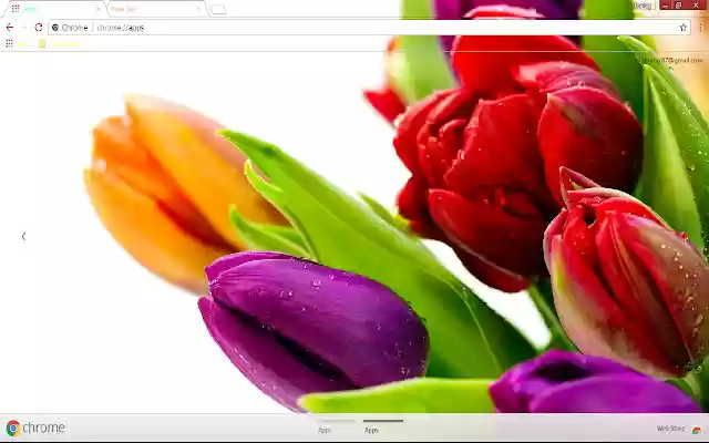 Colorful Flower Green Orange from Chrome web store to be run with OffiDocs Chromium online Colorful Flower Green Orange from Chrome web store to be run with OffiDocs Chromium online