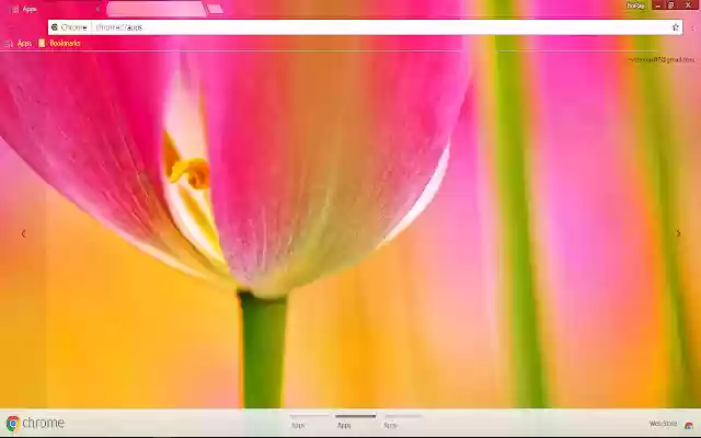 Colorful Flower Petal Pink  from Chrome web store to be run with OffiDocs Chromium online