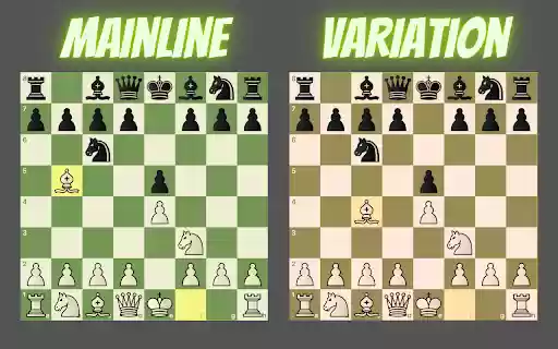 Colorize Extension for chess.com  from Chrome web store to be run with OffiDocs Chromium online
