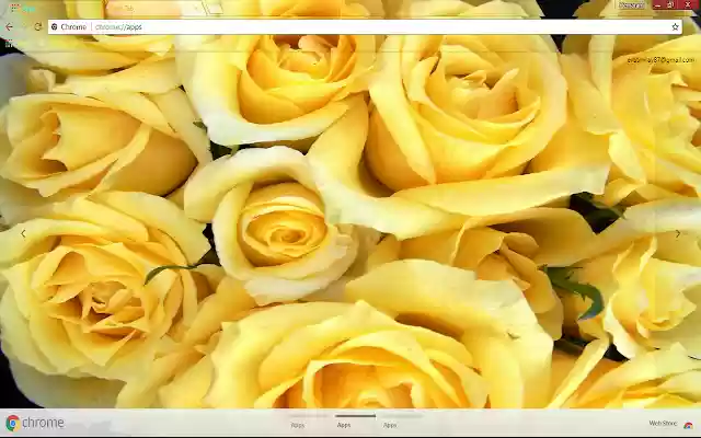 Confounding Yellow Rose  from Chrome web store to be run with OffiDocs Chromium online