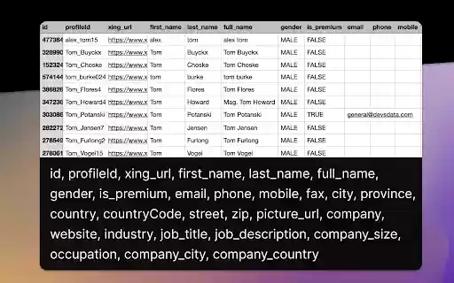 Contacts Export for Xing (Email + Phone) from Chrome web store to be run with OffiDocs Chromium online Contacts Export for Xing (Email + Phone) from Chrome web store to be run with OffiDocs Chromium online