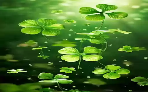 Cool green space wallpaper from Chrome web store to be run with OffiDocs Chromium online Cool green space wallpaper from Chrome web store to be run with OffiDocs Chromium online