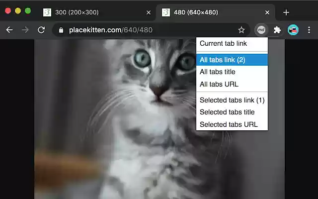Copy as Markdown  from Chrome web store to be run with OffiDocs Chromium online
