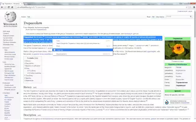 Copy Copy  from Chrome web store to be run with OffiDocs Chromium online