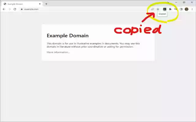 Copy Rich Link  from Chrome web store to be run with OffiDocs Chromium online