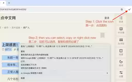 Copy Unlock  from Chrome web store to be run with OffiDocs Chromium online