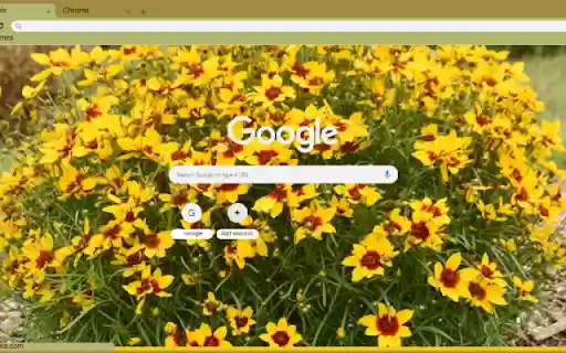 Coreopsis  from Chrome web store to be run with OffiDocs Chromium online