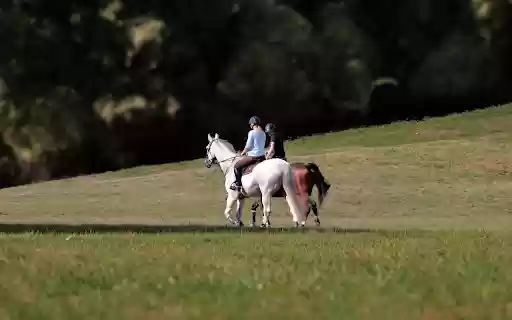 Couple on horseback  from Chrome web store to be run with OffiDocs Chromium online