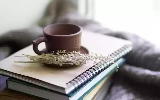 Cozy Study Moment from Chrome web store to be run with OffiDocs Chromium online Cozy Study Moment from Chrome web store to be run with OffiDocs Chromium online