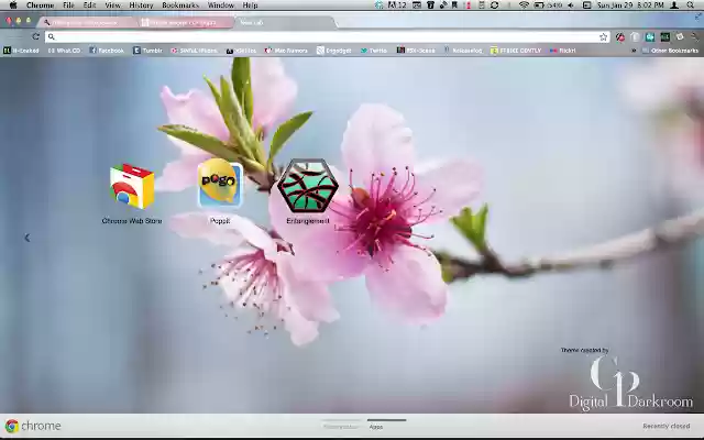 CPDD Blossom from Chrome web store to be run with OffiDocs Chromium online CPDD Blossom from Chrome web store to be run with OffiDocs Chromium online