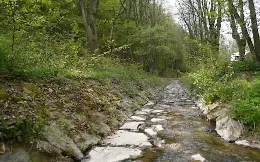 creek in the forest  from Chrome web store to be run with OffiDocs Chromium online