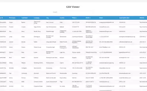 CSV Viewer Pro  from Chrome web store to be run with OffiDocs Chromium online