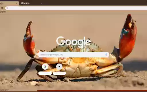 Cua  from Chrome web store to be run with OffiDocs Chromium online