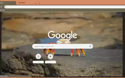 Cua Hoang Da  from Chrome web store to be run with OffiDocs Chromium online