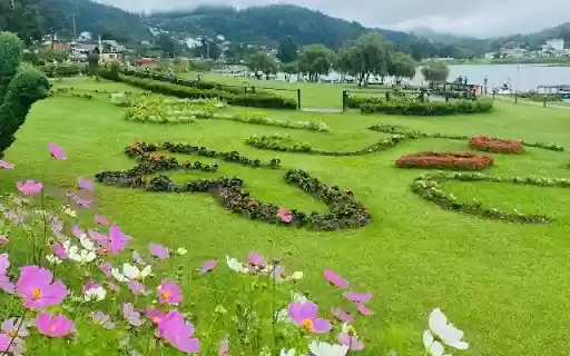 Cultivated Flora Along Gregory Lake from Chrome web store to be run with OffiDocs Chromium online Cultivated Flora Along Gregory Lake from Chrome web store to be run with OffiDocs Chromium online