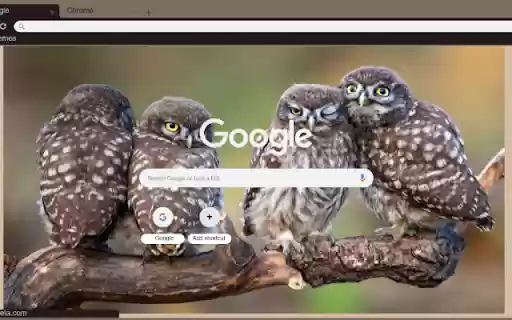 Cu meo from Chrome web store to be run with OffiDocs Chromium online Cu meo from Chrome web store to be run with OffiDocs Chromium online