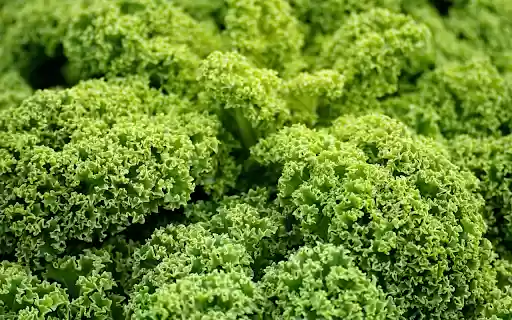 Curly Lettuce  from Chrome web store to be run with OffiDocs Chromium online
