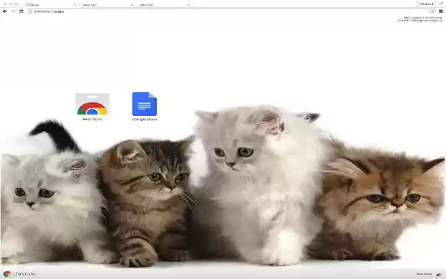 Cute cats from Chrome web store to be run with OffiDocs Chromium online Cute cats from Chrome web store to be run with OffiDocs Chromium online