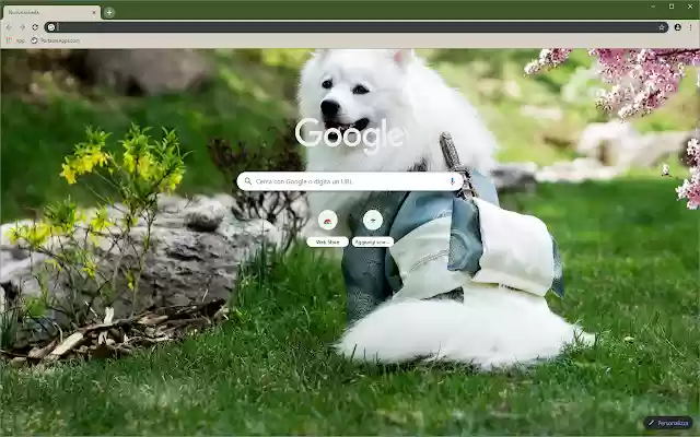 Cute Dog HD from Chrome web store to be run with OffiDocs Chromium online Cute Dog HD from Chrome web store to be run with OffiDocs Chromium online