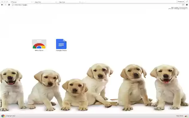 Cute Dogs  from Chrome web store to be run with OffiDocs Chromium online