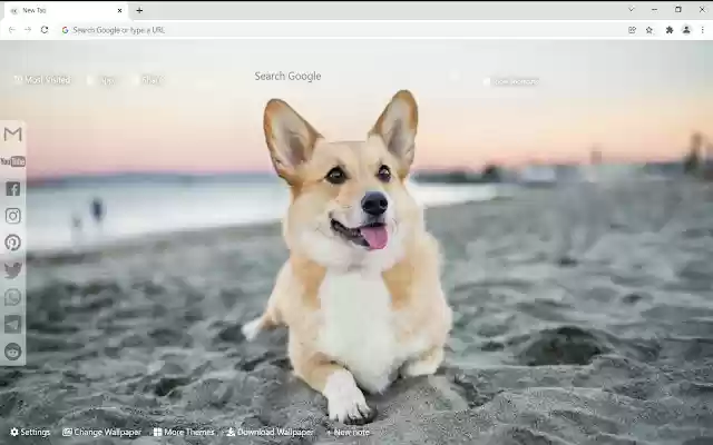Cute Dogs  Puppies Wallpaper New Tab  from Chrome web store to be run with OffiDocs Chromium online