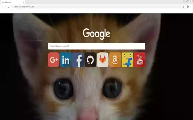 خلفيات Cute Kitty من متجر Chrome الإلكتروني ليتم تشغيلها باستخدام OffiDocs Chromium عبر الإنترنت