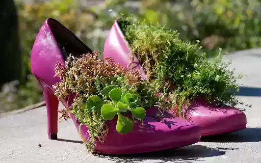 Cute shoes  from Chrome web store to be run with OffiDocs Chromium online