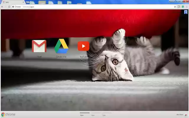 Cutest Cat from Chrome web store to be run with OffiDocs Chromium online Cutest Cat from Chrome web store to be run with OffiDocs Chromium online