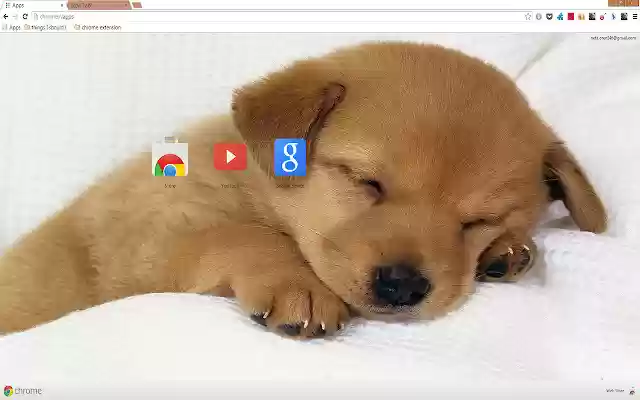 Chrome 网上商店的 Cuttest Sleeping Puppy 将与 OffiDocs Chromium 在线运行