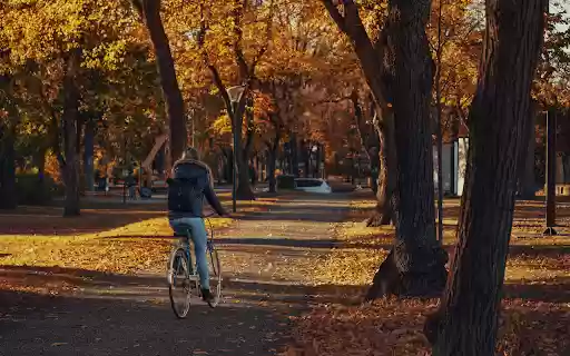 Cycling for a walk from Chrome web store to be run with OffiDocs Chromium online Cycling for a walk from Chrome web store to be run with OffiDocs Chromium online