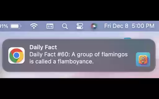 Daily Fact  from Chrome web store to be run with OffiDocs Chromium online