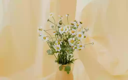 Daisies in a Flower Vase from Chrome web store to be run with OffiDocs Chromium online Daisies in a Flower Vase from Chrome web store to be run with OffiDocs Chromium online