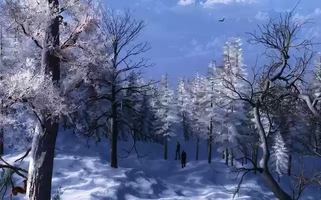 DAM3D Winter Walk  from Chrome web store to be run with OffiDocs Chromium online