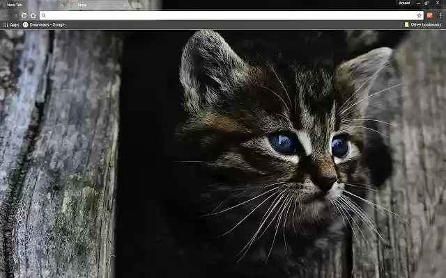 Dark Kitten from Chrome web store to be run with OffiDocs Chromium online Dark Kitten from Chrome web store to be run with OffiDocs Chromium online