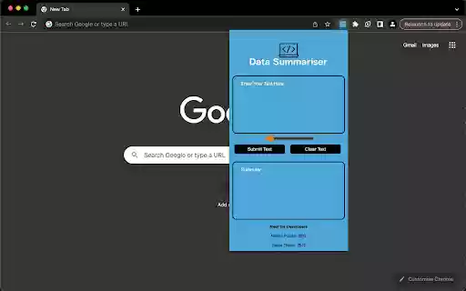 Data Summarizer  from Chrome web store to be run with OffiDocs Chromium online