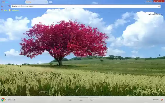 Dazzling Nature  from Chrome web store to be run with OffiDocs Chromium online