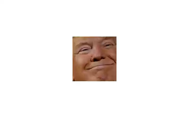Dear Trump  from Chrome web store to be run with OffiDocs Chromium online