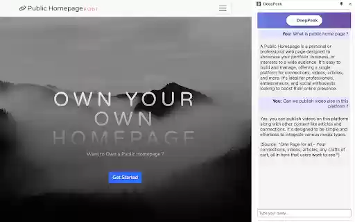 DeepPeek  from Chrome web store to be run with OffiDocs Chromium online