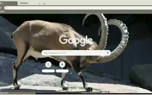 De nui  from Chrome web store to be run with OffiDocs Chromium online